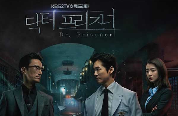 download subtitle indonesia drama doctor stranger